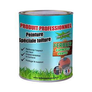 Peinture spéciale toiture